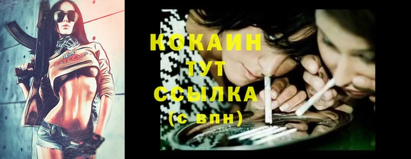 гашик Каменка