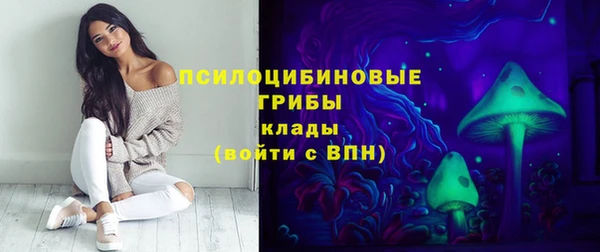 спайс Баксан