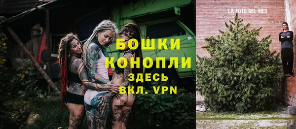 спайс Баксан