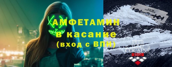 сатива Инсар