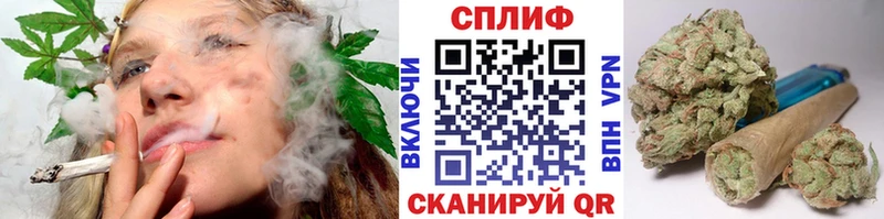 где купить наркоту  Верхняя Салда  Шишки марихуана сатива 